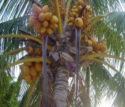 Cancun05 020